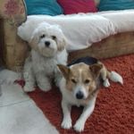 Sam & Georgie - @samandgeorgie - Instagram