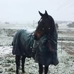 Georgie Simpson - @georgie_simpson1 - Instagram