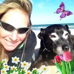 Georgie Starr - @dog_starz - Instagram