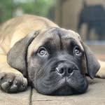 George Stuart - @curiousgeorge_stuart - Instagram