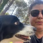 Georgie Wolf - @wolfie.walks - Instagram