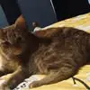 Georgina Best - @georgina.best0 - TikTok