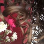 Georgina Bowen - @georgina_b_ire - Instagram