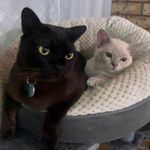 Emily Georgina Gates - @george_and_larrys_adventures - Instagram