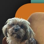 Georgia Goldsmith - @goldsmithgeorgia - Instagram