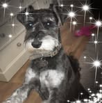 Gina Goldsmith - Facebook