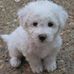 Georgina G Guy - Facebook