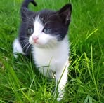 Georgina Knowles - Facebook