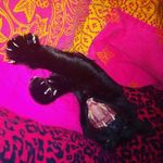 Honey Georgina Lyon - @funkypish - Instagram
