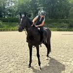 Georgie Morley - @ghm.equestrian - Instagram