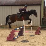 Georgina Randall Equestrian - @grandall.equestrian - Instagram