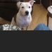 Georgina Richards - Facebook