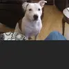 georginarichards776 - @georginarichards776 - TikTok