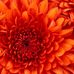 Georgina Robinson - Facebook