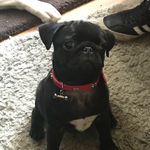 Georgina Robinson - @georgina.marshall.71 - Instagram