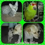 Georgina Robles - @georginarobles800 - Instagram