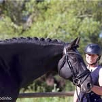 Georgina Rogers - @georgina_rogers_dressage - Instagram