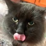 Andrea Georgina Aglupos Slack - @agluposslack - Instagram