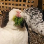 georgia slack carey - @georgia_slack - Instagram