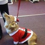 Georgina Thomas - @georginathomas2699 - Instagram