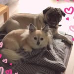 Georgina White - @georgina.white.902 - Instagram