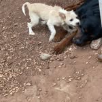 Geovanni Miranda - @geovanni7979 - Instagram