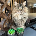 Ger Thornton-Taylor - @gerthorntontaylor - Instagram