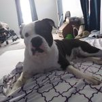 Abbott Gerald - @abbott.gerald.5 - Instagram