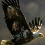 Gerald Joseph Abeyta - Facebook