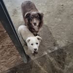 Gerald Ackerman - @gerald.ackerman.1 - Instagram