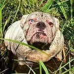 Gerald Albrecht - @geraldalbrecht2 - Instagram