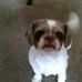 Gerald Arndt - Facebook