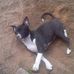Gerald Keith Ashcraft - Facebook