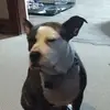 Gerald Ault - @gerald.ault - TikTok