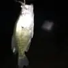 geraldbarber376 - @ggbarber0 - TikTok