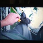 Gerald Barron - @geraldbarron9 - Instagram
