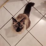 Gerald Bartels - @gerald.bartels - Instagram