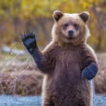 Gerald Barthelemy - @gerald.barthelemy.547 - Instagram