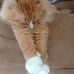 Geraldine Bartlett - Facebook