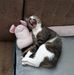 Gerald Baumgartner - Facebook