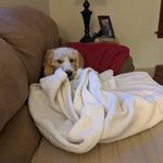 Baxter Anderson - @baxtergerald1016 - Instagram