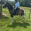 Gerald Berry - @g_2_fye - TikTok