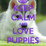 isobelbetts2003@gamil.com - @isobelgeraldinebetts2003 - Instagram