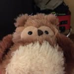 Gerald The Bird - @jerald_the_bird - Instagram