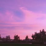 Gerald	Bird - @gerald91171 - Instagram