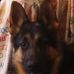 Jerry Bledsoe - Facebook