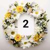 Blumenkranz_Gerald_2 - @blumenkranz_gerald_2 - TikTok
