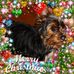 Gerry Boisvert - Facebook