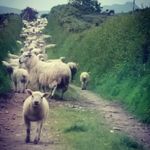 Gerald Boucher - @geraldboucher - Instagram