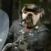 geraldbunkeriii73 - @geraldbunkeriii73 - TikTok
